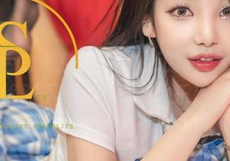 衬衫背后的秘密：Zzyuri的图包Vol.2，绝对不止一件才有的乐趣！