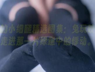 草坪上的小细腿精选图集：兔玩映画带你走进那一片绿意中的悸动。
